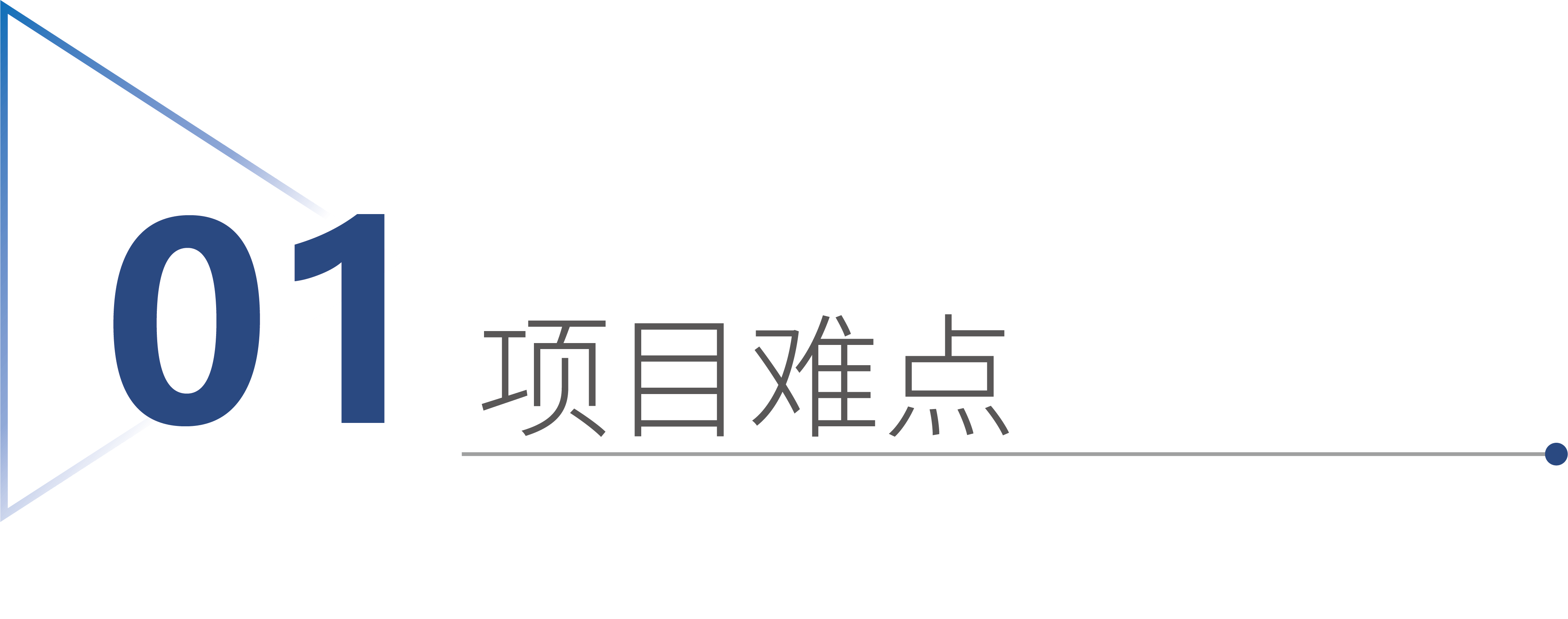 项目难点.3